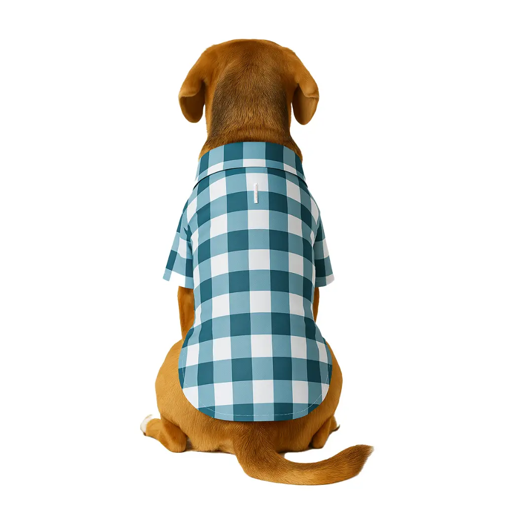 cuadros verdes 1.webp