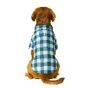 cuadros verdes 1.webp