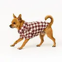 Cuadros rojos 1.webp