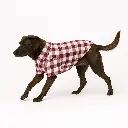 cuadros rojos 2.webp