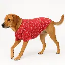 ChatGPT Image 25 jul 2025, 09_14_55 a.m..webp