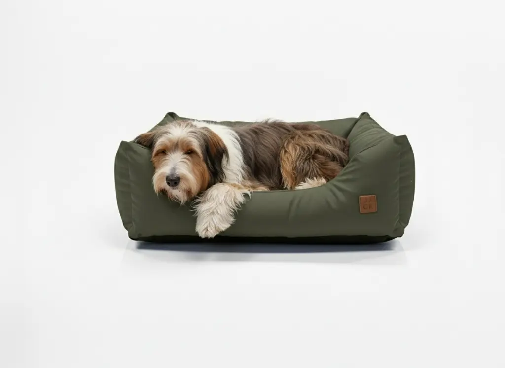 water verde perro.webp