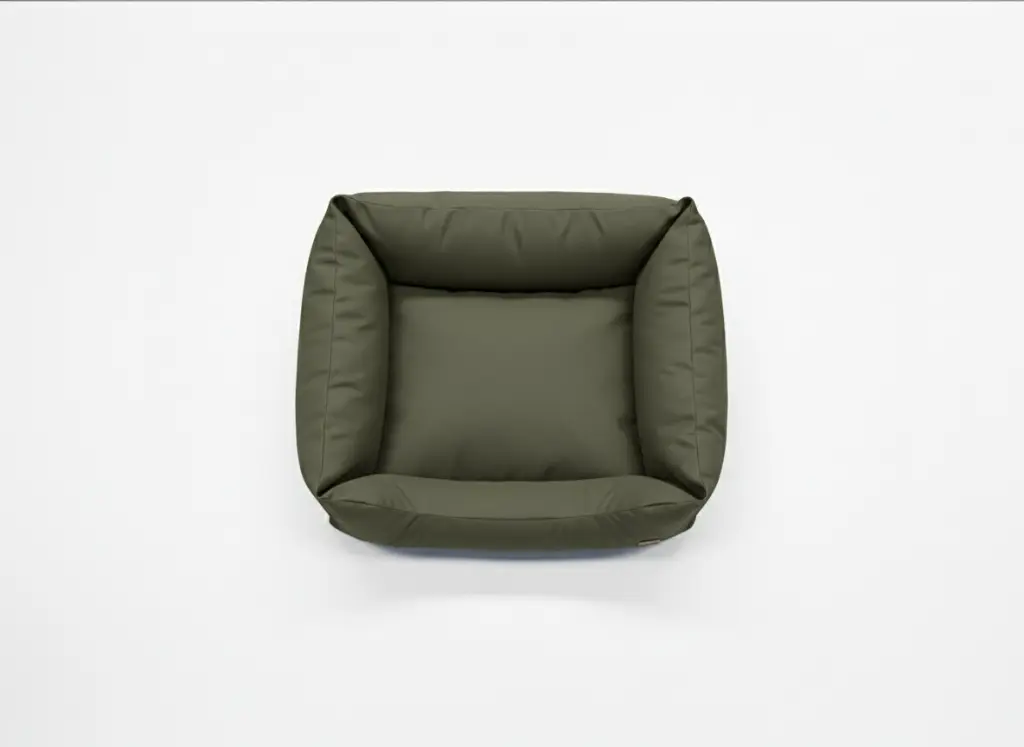 water verde aerea.webp