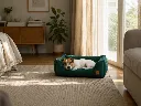 verde Nueva A 5.webp