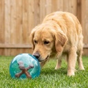 BOLA JUMBLER JACK