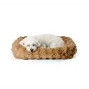 NIMBUS-CAMELLO-PERRO.webp