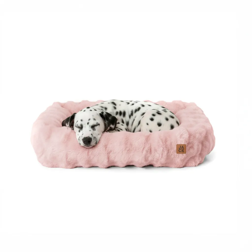 NIMBUS-ROSA-PERRO.webp