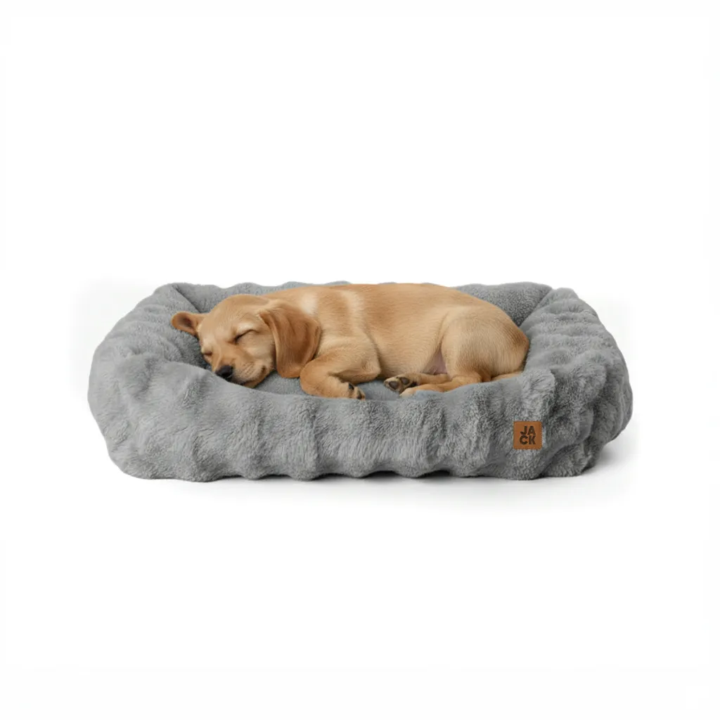 NIMBUS-GRIS-PERRO.webp