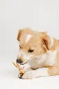 _MG_1532.webp