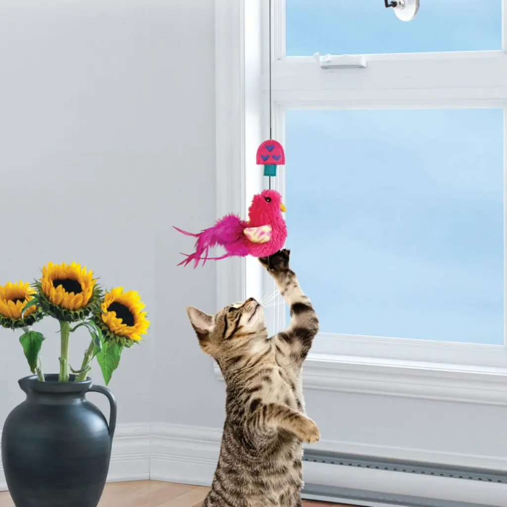 CAT45_LIFE_1.webp