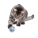 CB5_LIFE_1_small.webp
