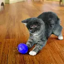 PE4_LIFE_1.webp
