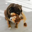 SCP23_LIFE_1_small.webp
