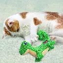 CA116_LIFE_1.webp