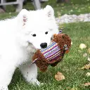 RSP22_LIFE_1_small.webp