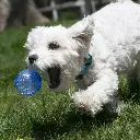 PSZ1_LIFE_1.webp