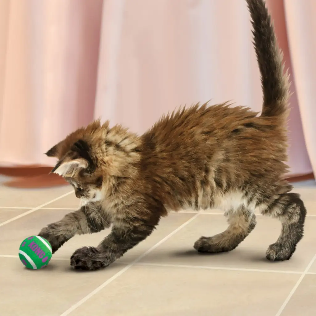 CA56_LIFE_1.webp