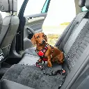 1327683_4.webp