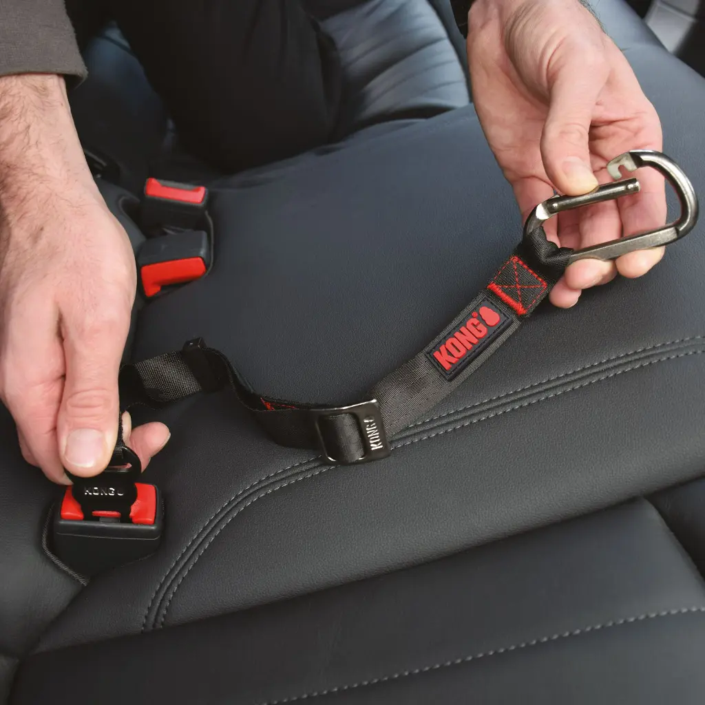 Seat-Belt-Tether-Updated-01.webp