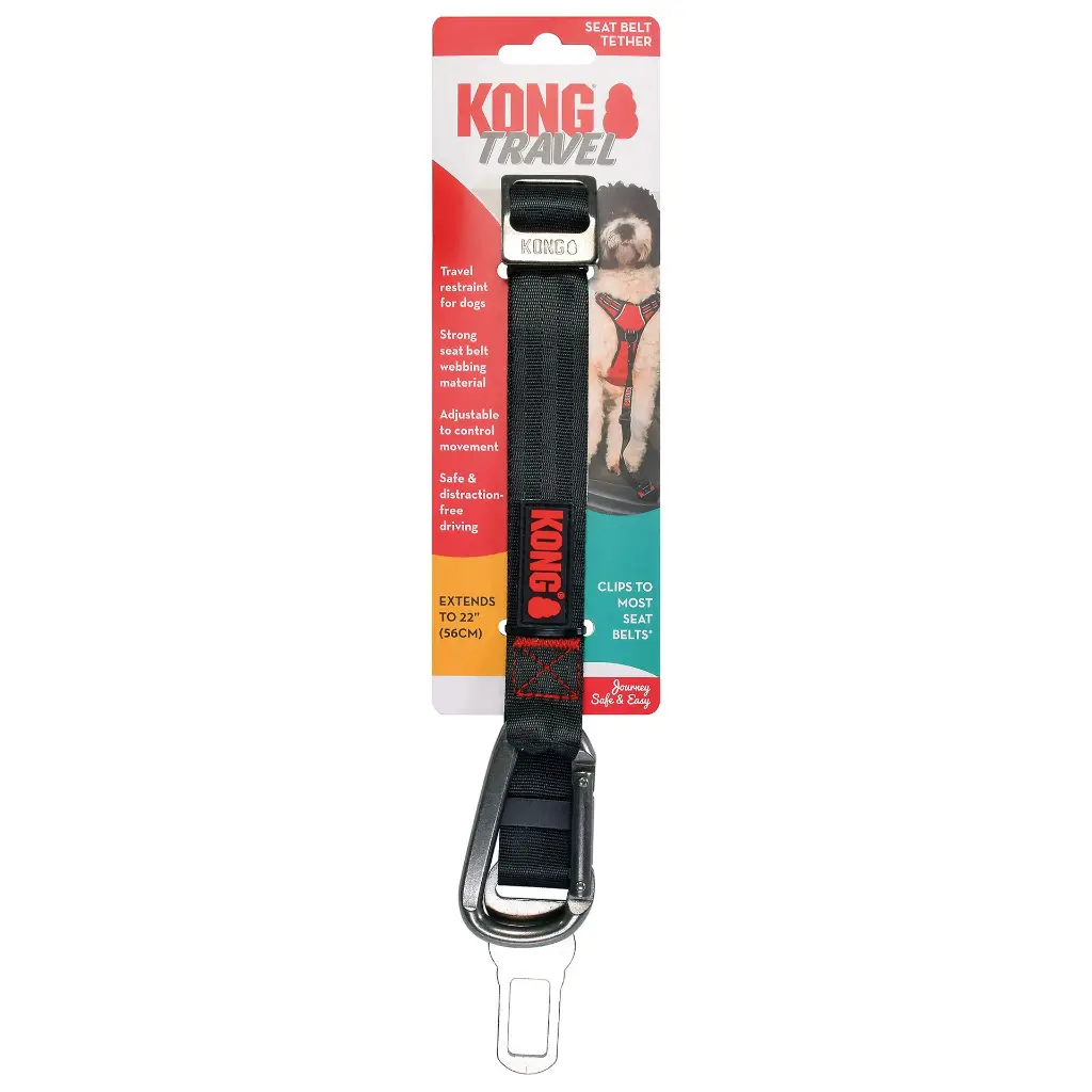 Seat-Belt-Tether-Update-03.webp
