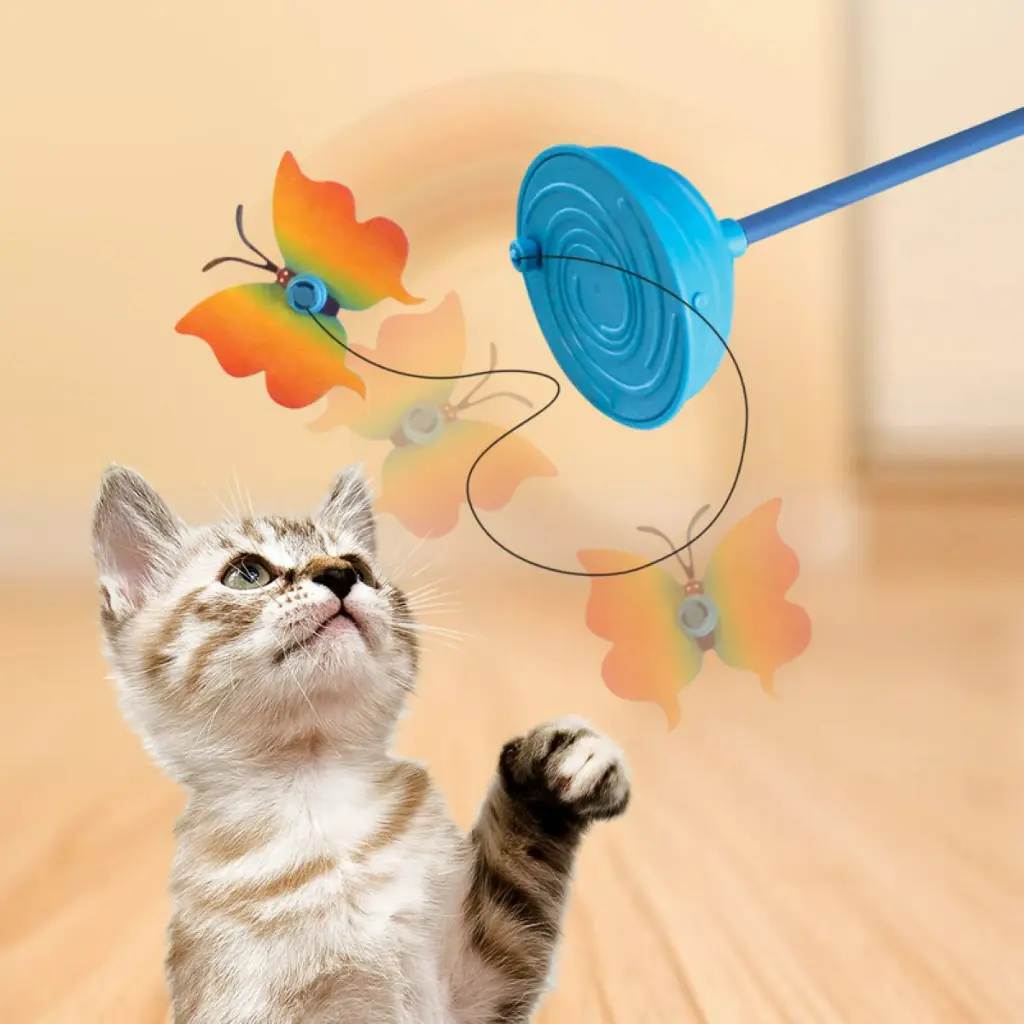 CAT57_LIFE_1.webp