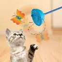 CAT57_LIFE_1.webp