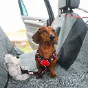 1328245_4.webp