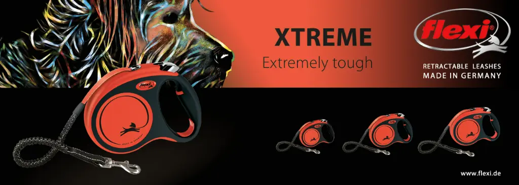 flexi_Xtreme_1260x450px.webp