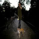 flexi_NewNeon2020n_street_RGB-300.webp