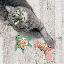 CT64_LIFE_1.webp