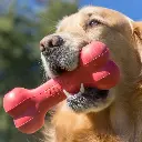 10011_LIFE_1.webp