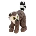 SCP21_OFF_PK_2_small.webp