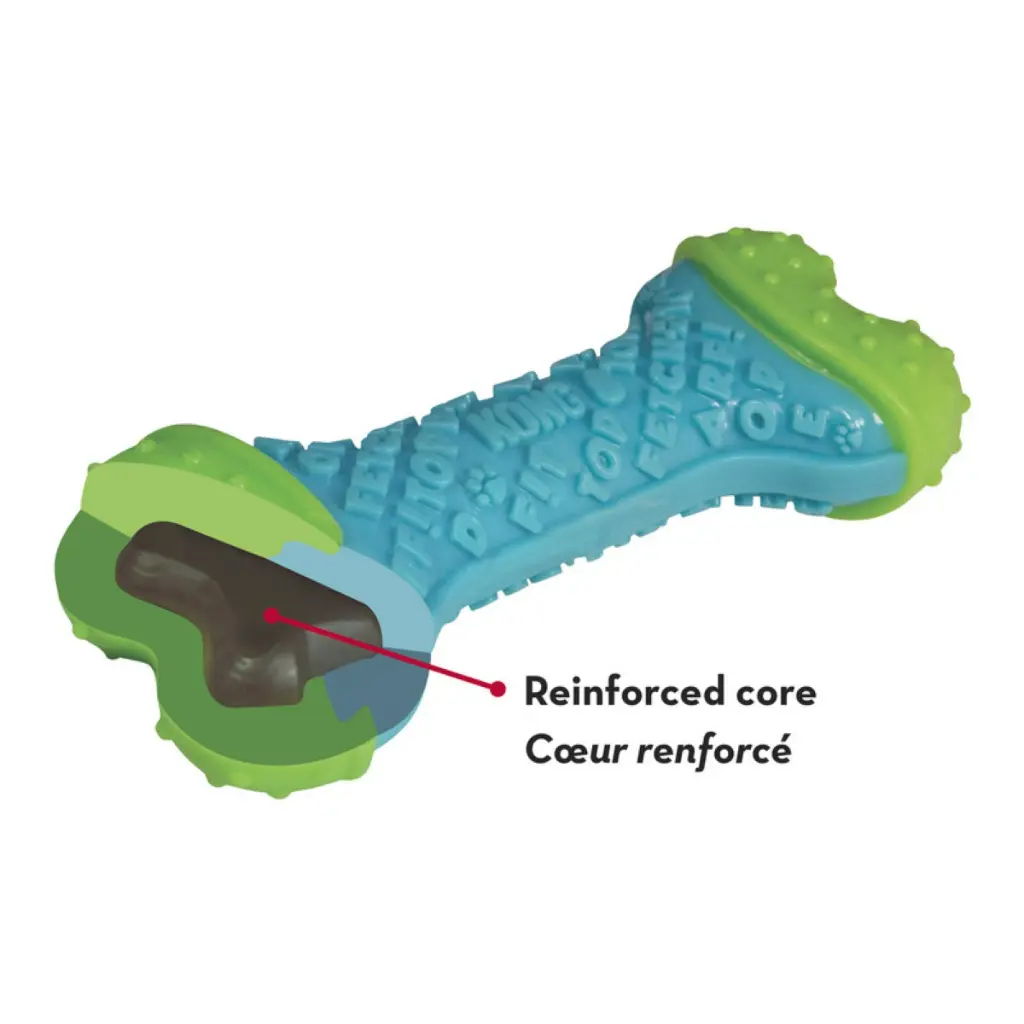 PFC11_EDU_1.webp