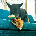 WILS24_LIFE_1.webp