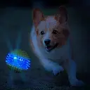 GUEST_9091a707-731e-4e5b-8251-d1bd2bbd01d4.webp