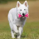 GUEST_090f5b01-636c-467b-97c7-66fcdca1ca00.webp