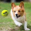 4790_4.webp