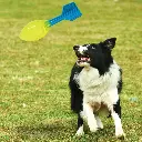 GUEST_a088f3b5-f2d4-4486-865b-75ac2f95b17a.webp