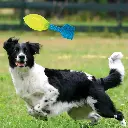 GUEST_955f6aa3-41fa-424b-bf34-28a50e797c4c.webp