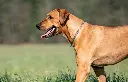 Captura de pantalla 2025-02-09 154138.webp