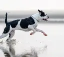 Captura de pantalla 2025-02-09 154120.webp