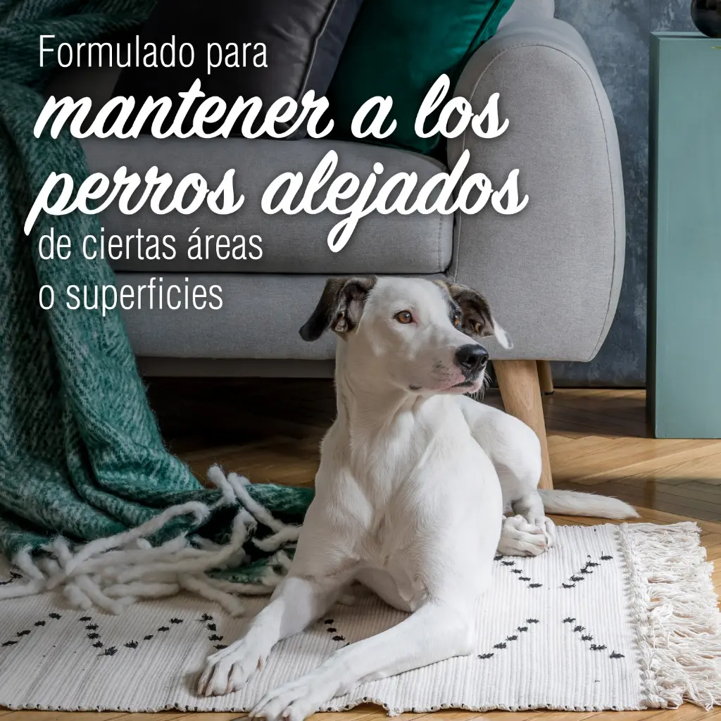 P-98394LA_GalleryImages_06_Feature.webp