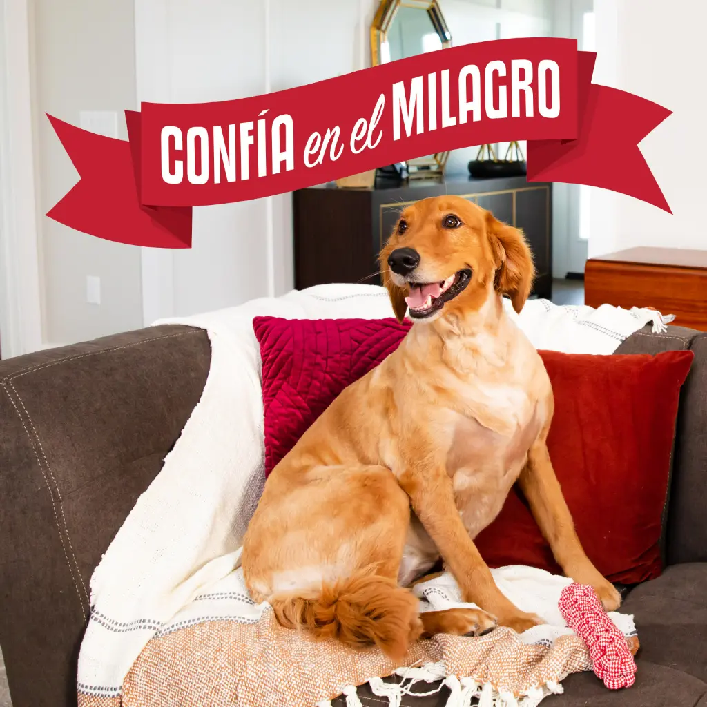 P-98394LA_GalleryImages_09_BrandStatement.webp