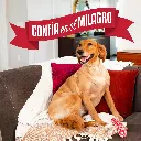 P-98394LA_GalleryImages_09_BrandStatement.webp