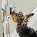 9356-HFW-Talking-Pet-Doorbell-Dog-1.webp