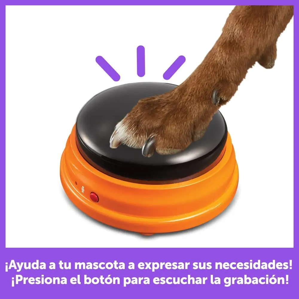61nYuumAvnL._AC_SL1000_.webp