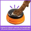 61nYuumAvnL._AC_SL1000_.webp