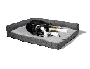 cine_0008_Jack--13.webp