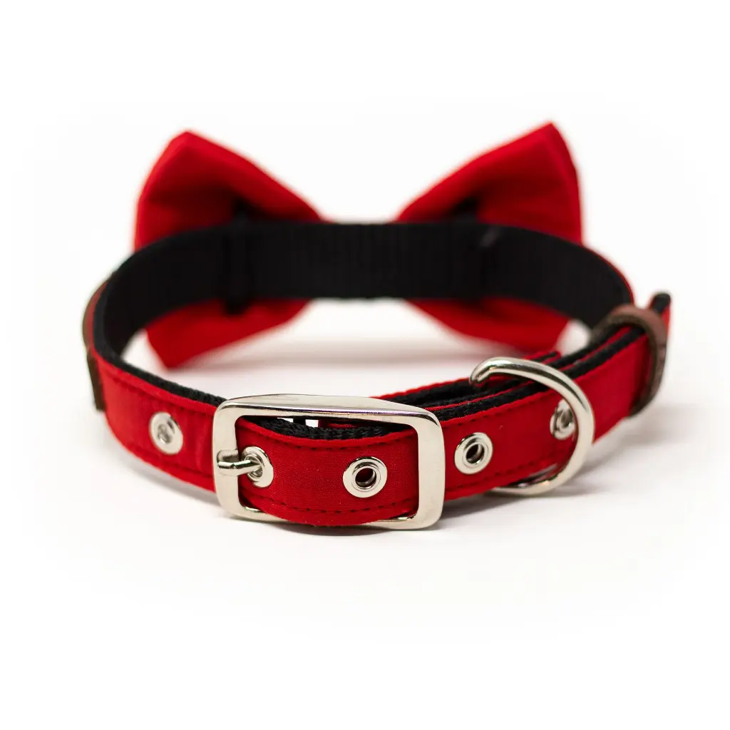 42138186__x2 (rojo).webp