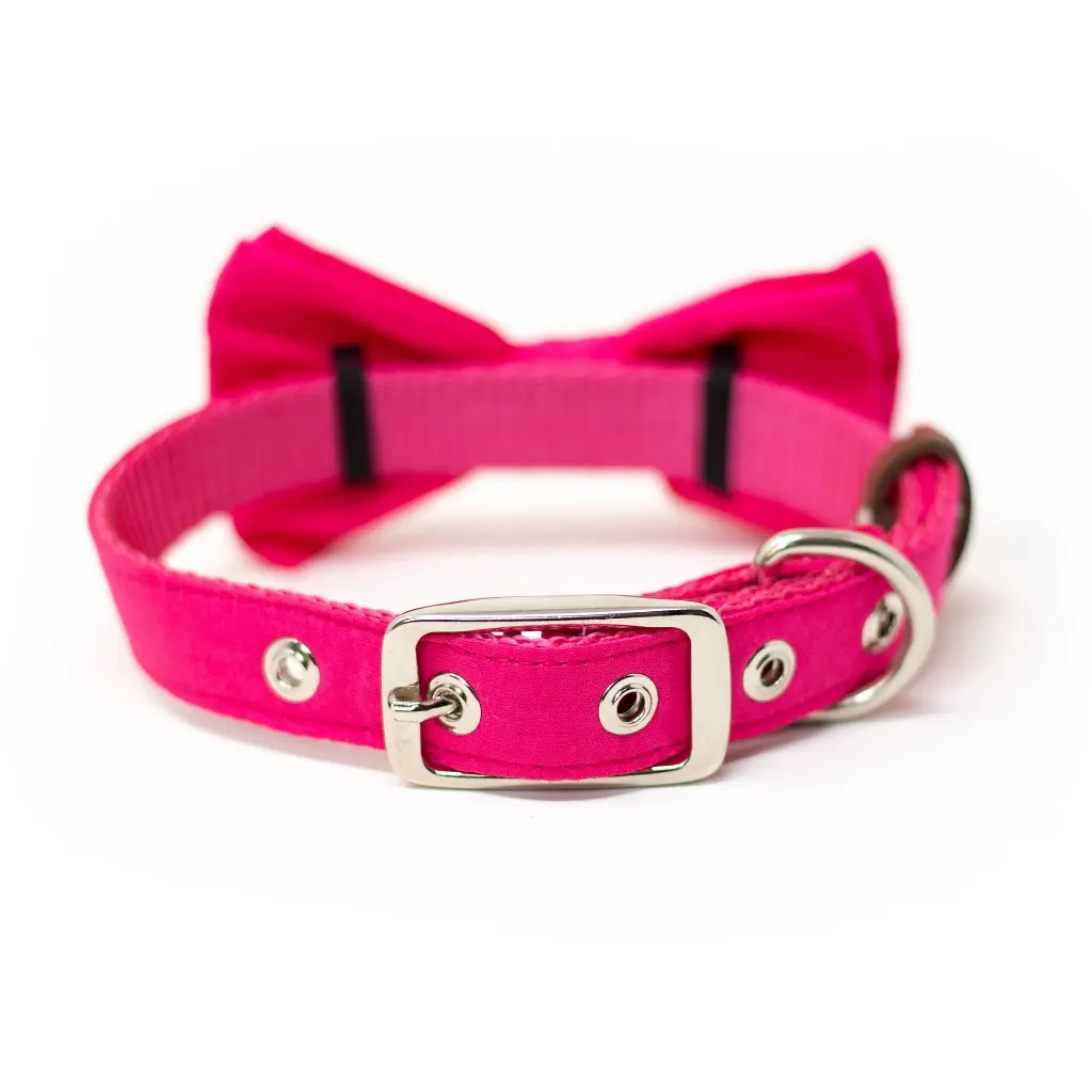 42138186__x2 (rosa).webp